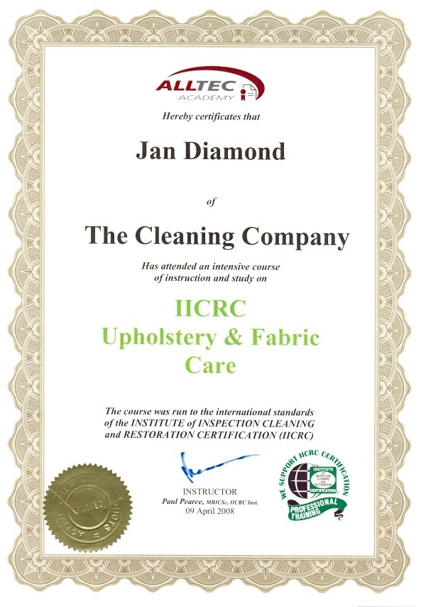 The Cleaning Company