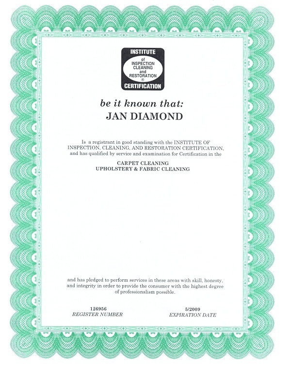 The Cleaning Company