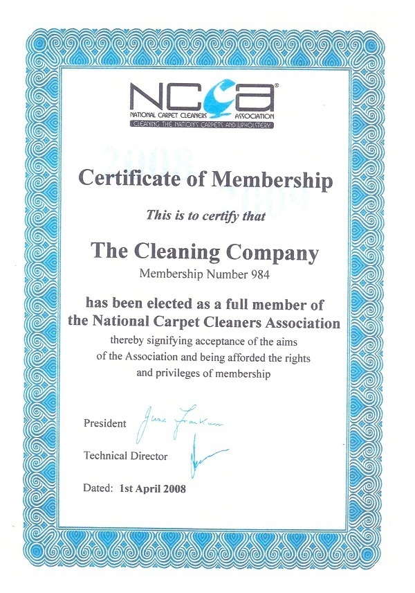The Cleaning Company